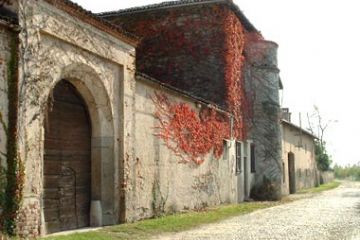 Sfoglia la galleria