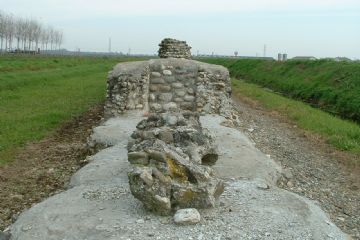 Sfoglia la galleria